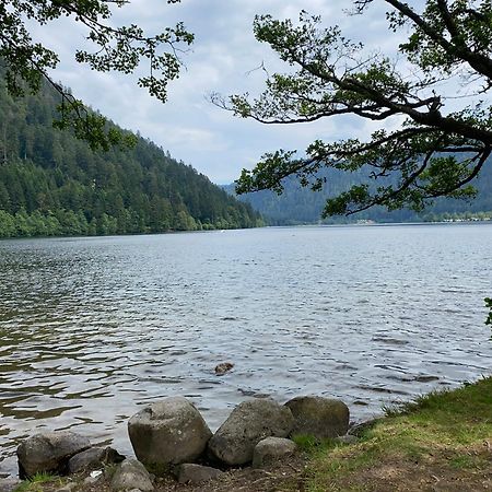 Charmant Chalet, Spacieux, Proche Du Lac, Vue Sur La Montagne Gerardmer Bagian luar foto