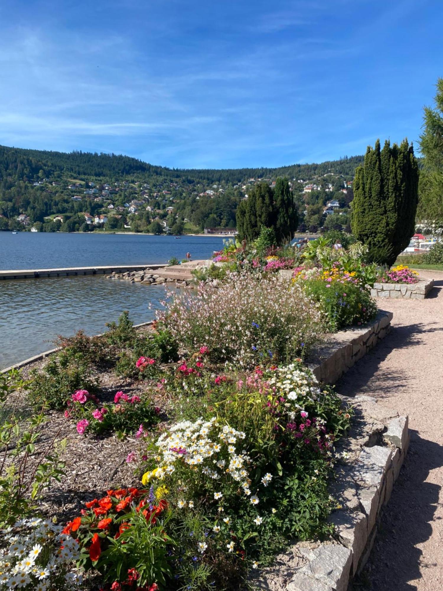 Charmant Chalet, Spacieux, Proche Du Lac, Vue Sur La Montagne Gerardmer Bagian luar foto