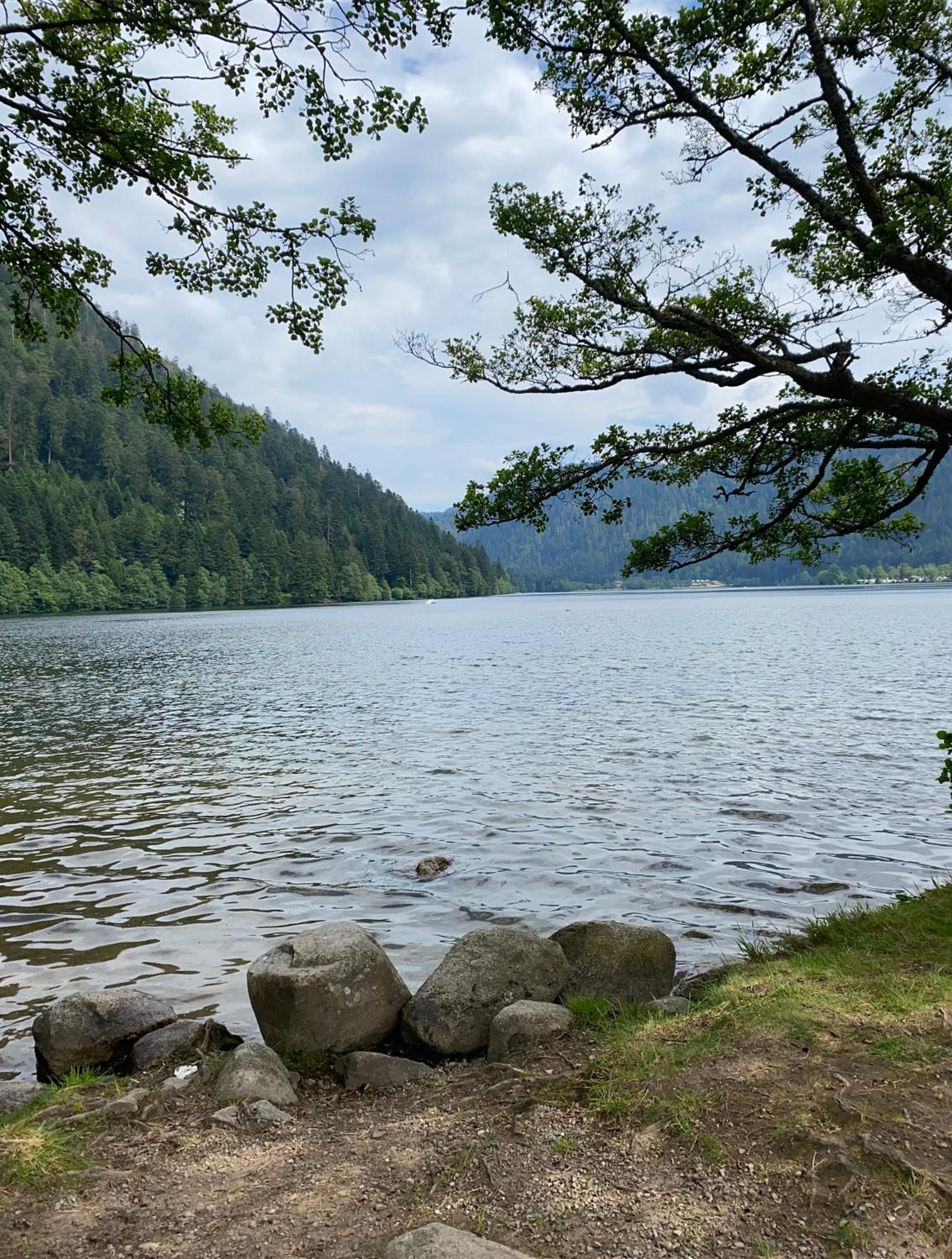 Charmant Chalet, Spacieux, Proche Du Lac, Vue Sur La Montagne Gerardmer Bagian luar foto
